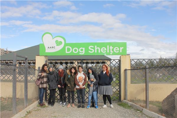 Animal Shelter visit